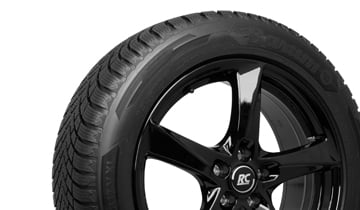 BARUM POLARIS 6
